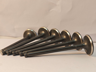 Cummins 4994143 Exhaust Valve for 4B3.9, 6A3.4, 6B5.9 diesel engine parts high quality