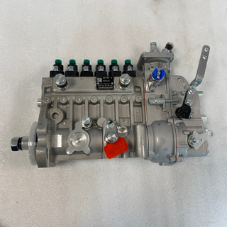 Genuins Cummins Parts B5.9 Engine Fuel Pump 5254184