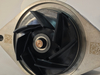 Machinery Diesel Engine 4b 6b Marine Engine Spare Parts for Cummins Water Pump 5520883 Engine Parts