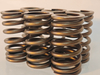 Cummins 3926700 Valve Spring for 6BT 6L diesel engine part high quality