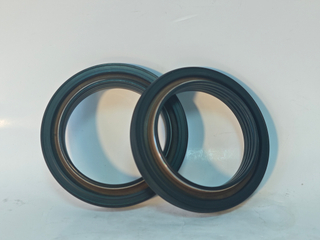 Reliable Cummins Isde Qsb6.7 Diesel Engine Front Oil Seal Components 4890832 3955214 5338295 